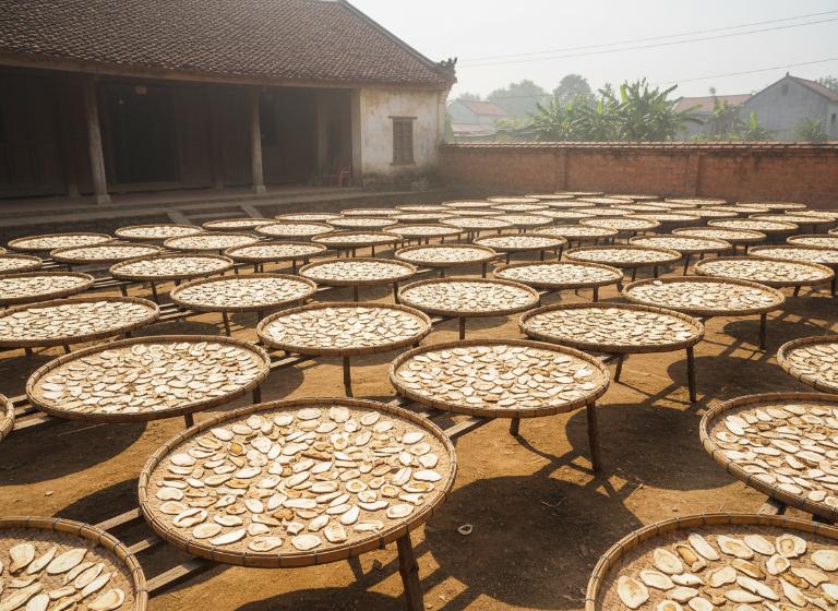 Nguồn Gốc & Chất Lượng Dược Liệu Thuốc Nam