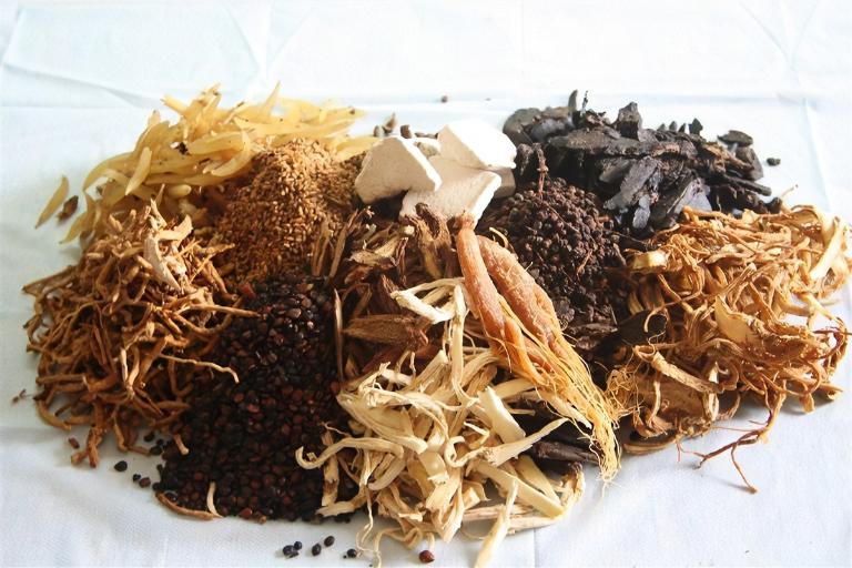 Dinh Dưỡng v&agrave; Lối Sống Hỗ Trợ Hiệu Quả